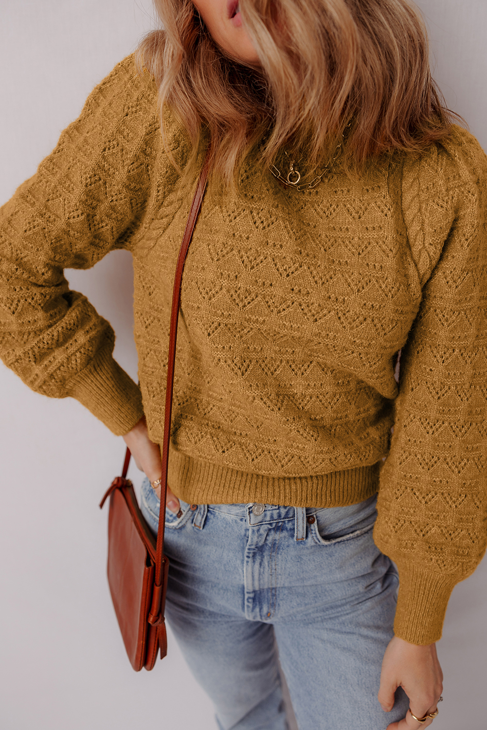 Jurassic Gold Hollow Out Crochet Ribbed Edge Balloon Sleeve Sweater - loveforevers