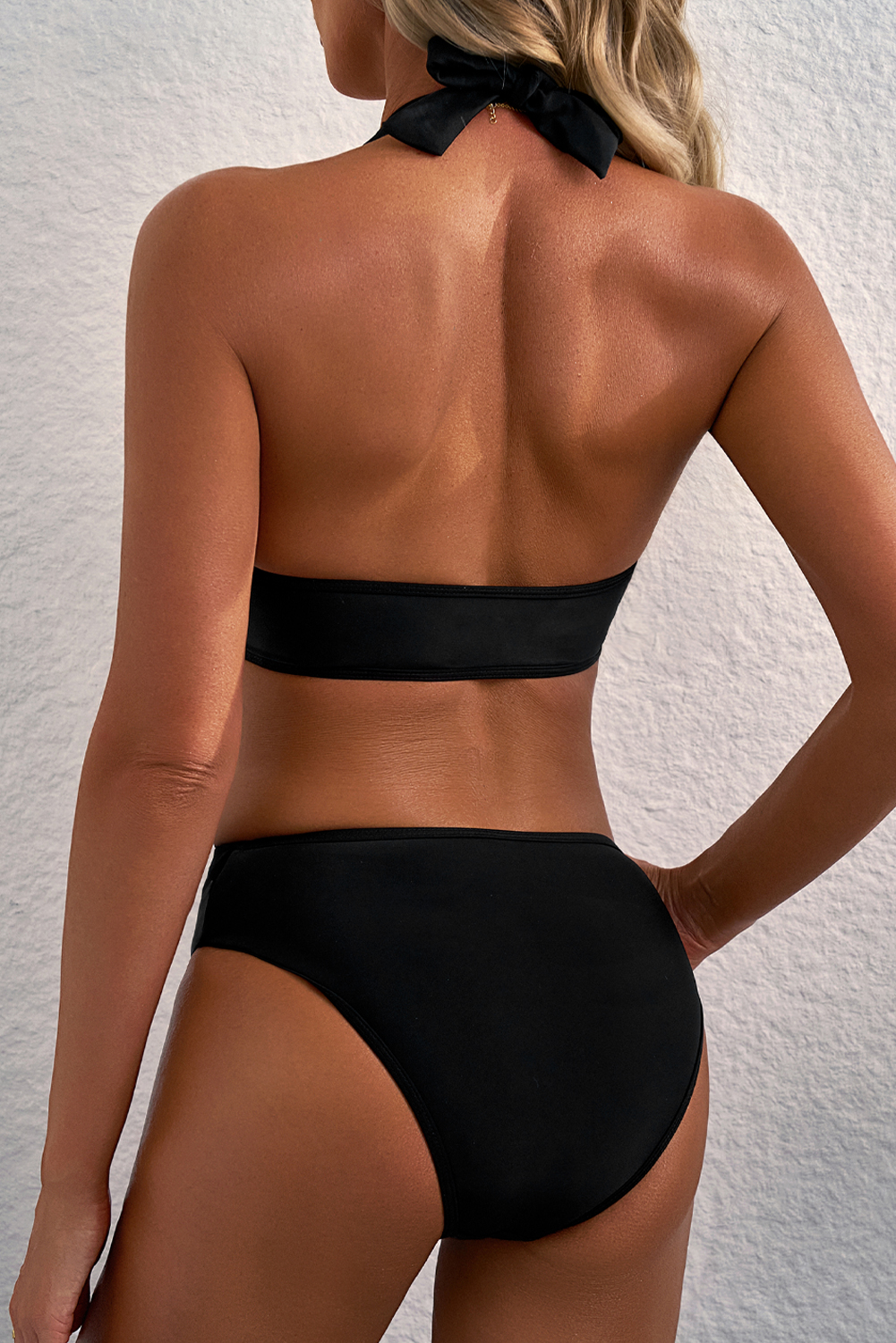 Black Sheer Mesh Edged Halter V Neck Push Up Bikini - loveforevers