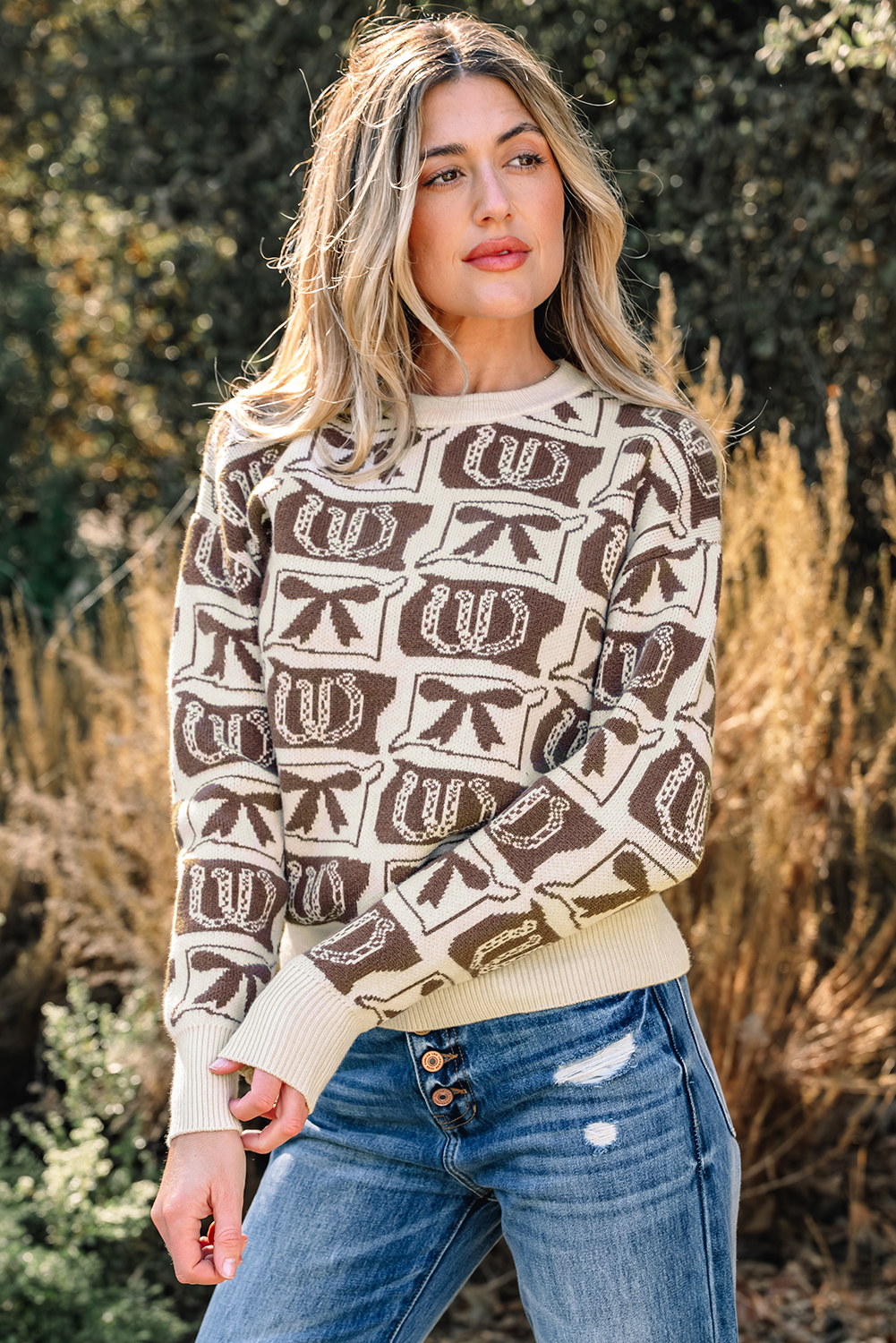 Brown Bows & Horseshoes Pattern Western Fashion Print Sweater - loveforevers