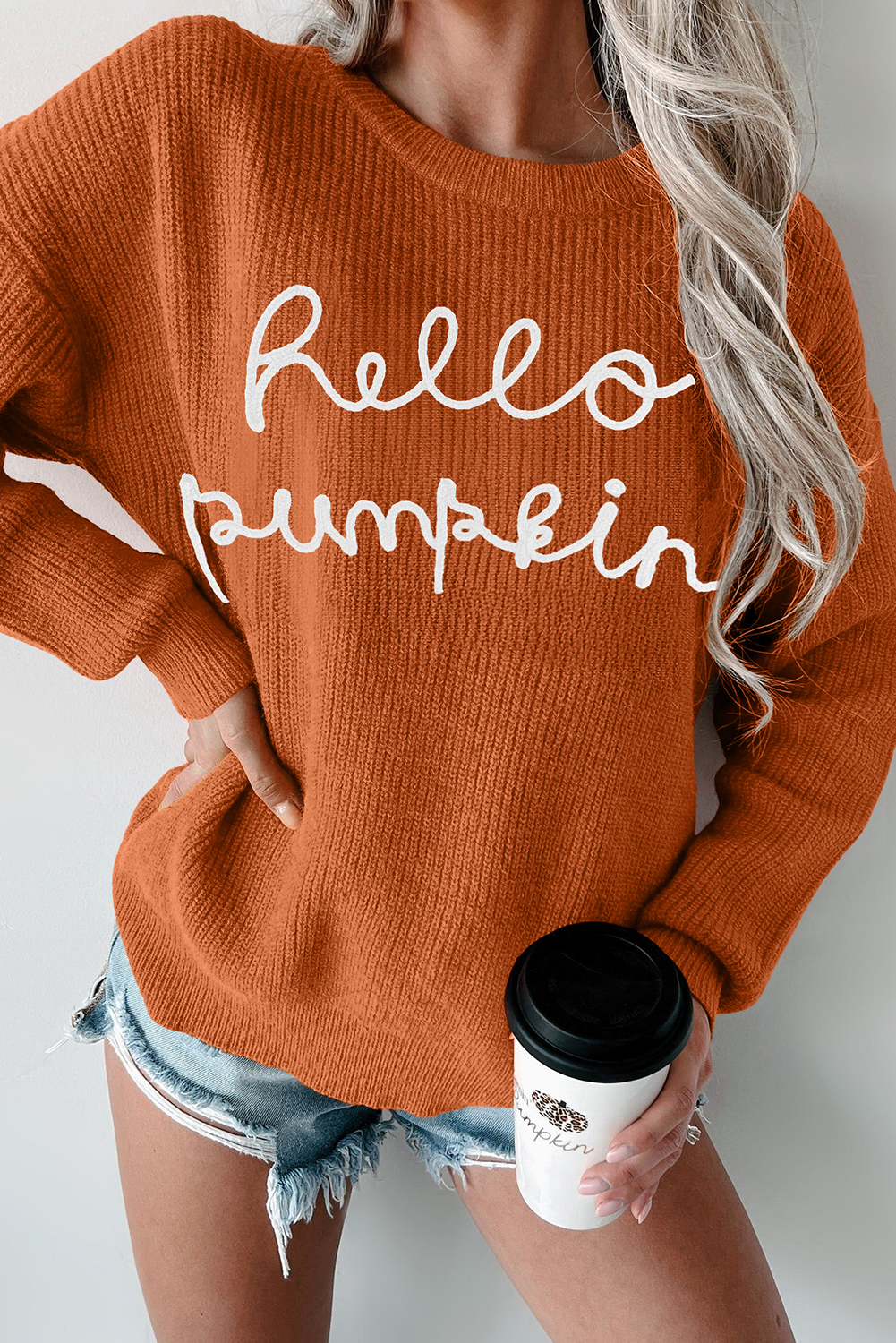 Flamingo Hello Pumpkin Graphic Sweater - loveforevers