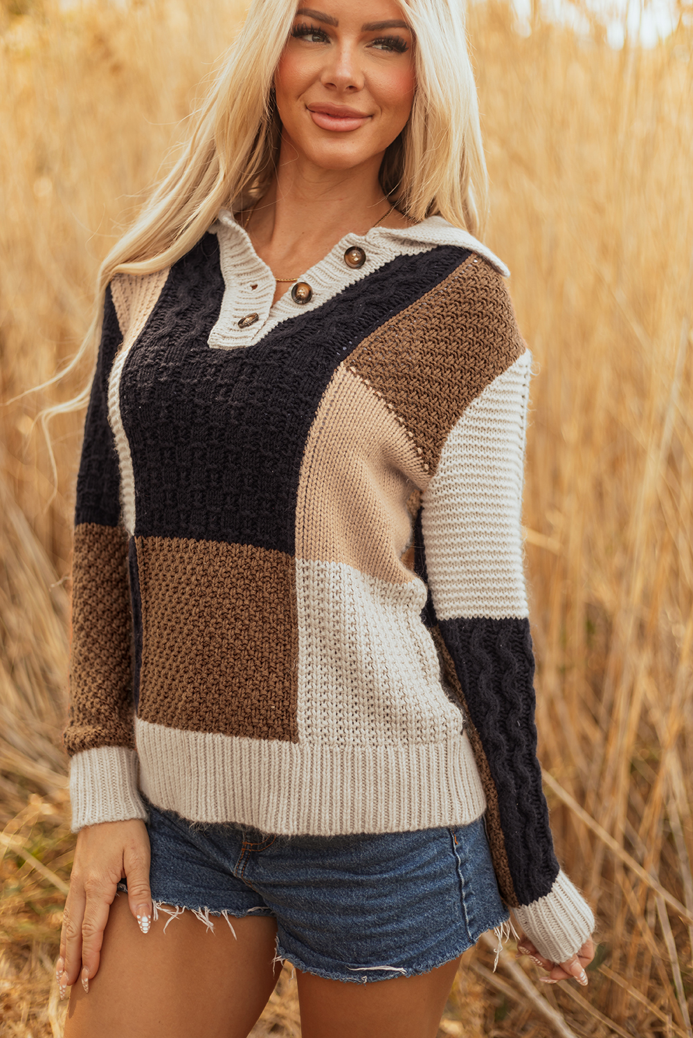 Multicolour Color Block Cable Knit Sleeve Buttons Collared Sweater - loveforevers
