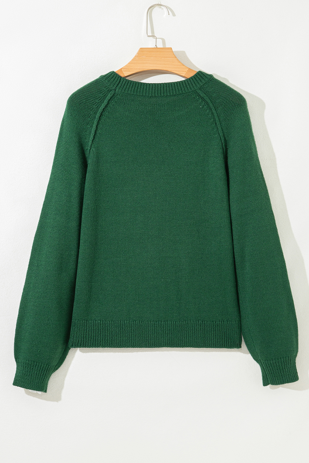 Evergreen Raglan Sleeve Crew Neck Sweater - loveforevers